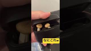 #おもしろ
