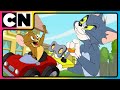 Tom And Jerry Tom S Worst Day Every Day Best Animations Cnindia​