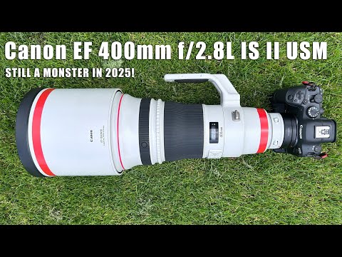The Canon EF 400mm f/2.8L IS II USM – still a beast in 2025!