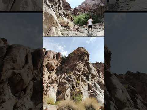 2019 Jeep Bash Huntington Beach CA