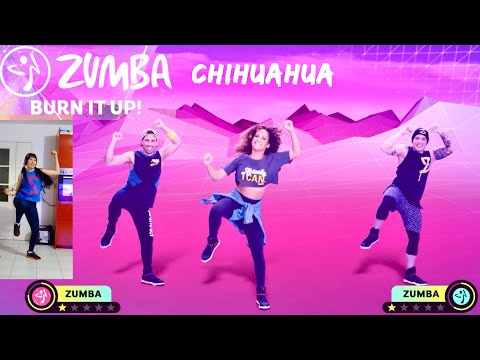 🐶 Chihuahua 💃🏻 Zumba Burn It Up! 🔥 Fitness Warm up Haute intensité Nintendo Switch