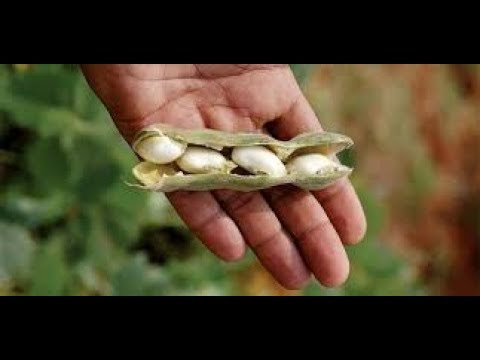 Pagbaba ng timbang sa mga binti at hips magsanay sa bulwagan Diyeta malyshevoy fold 10 kg