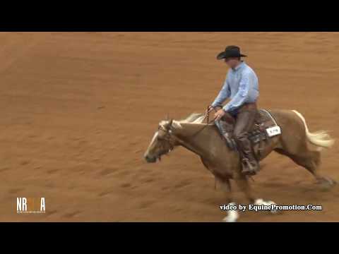 SJR Smooth CattyCash ridden by Jake D. Gorrell  - 2018 Celebration of Champions (Rein-Open Derby)