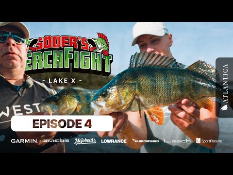Perch Fight 2022 ep.4