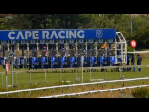 FIREALLEY - PENINSULA HANDICAP (Grade 2)