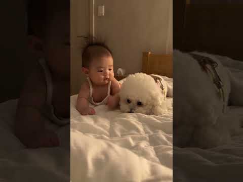 아기와 강아지