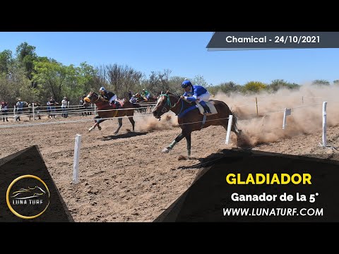 HIP. "EL QUEBRACHAL" CHAMICAL L.R. -24/10/2021 - GLADIADOR, DON RAMON y GRAN LOCO