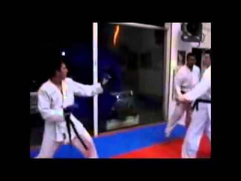 Karatê Med USP Ribeirão Preto Apresentação Calouros 2010 AAARL KT
