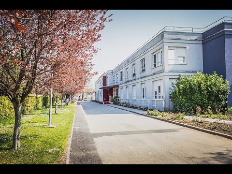 Samostan sv. Franje Asiškog, Odra