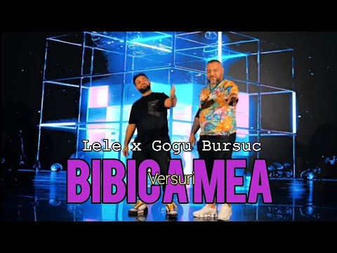 Lele x Gogu Bursuc - Bibica mea 😍 (Versuri)