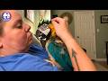 This Abused Parrot To Trust A Human Again - Until Michele Reached Out Her Hand