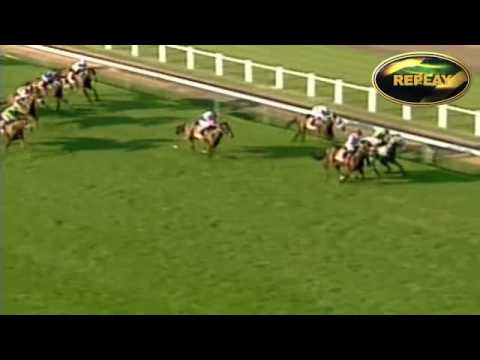 RISING SUN GOLD CHALLENGE GR1 : BIG CITY LIFE