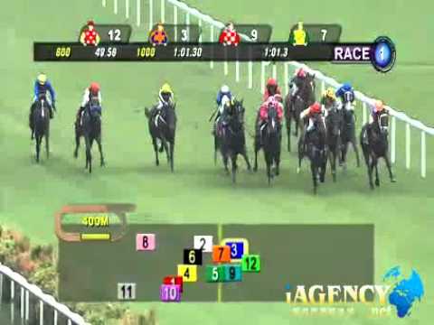 SINGAPORE RACE 01/01/2014 RACE 1 - iAgencyNet.com