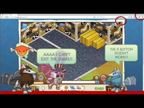 If You Couldn't Log Out In Animal Jam