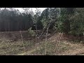 Фото Видео-отзыв об обряде \