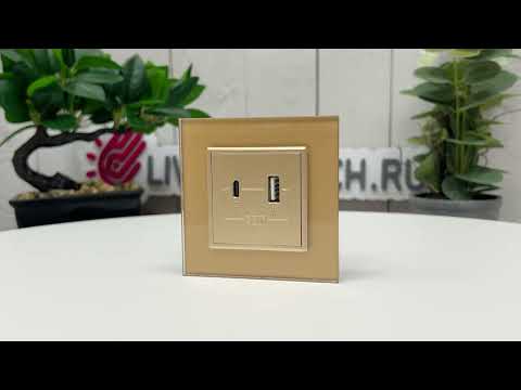 Розетка USB type C+A с блоком питания 36W Livolo, цвет золотой (механизм) VL-FCUA18W.UC18W-2AP
