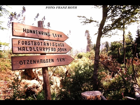 Hunnenring Otzenhausen 2017 02 14