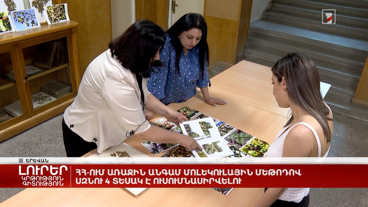 ՀՀ-ում առաջին անգամ մոլեկուլային մեթոդով սզնու 4 տեսակ է ուսումնասիրվելու