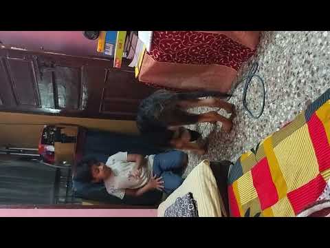 Trick for dogs who doesn't eat pedigree