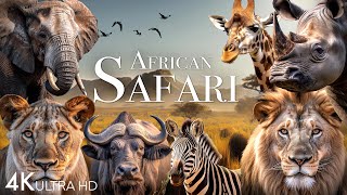 African Safari 4K - Amazing Wildlife of African Savanna | Scenic Relaxation Film