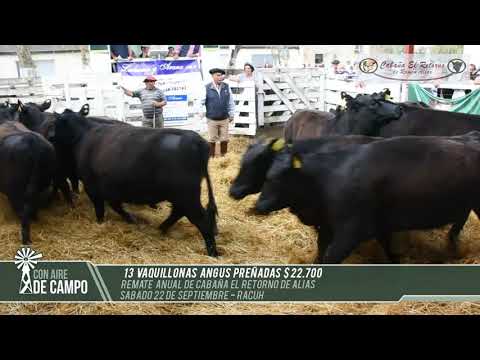 Resumen del remate de Cabaña El Retorno - Sábado 22 de septiembre de 2018 - Rauch