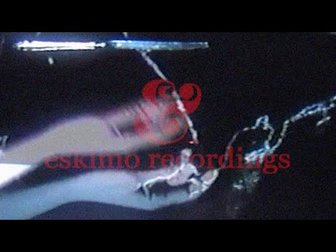 NEXT WAVE ACID PUNX DEUX