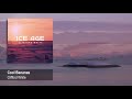 Clifford White Ice Age 2020 Chill Out Music New Age Music Electronic Music