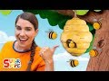 Here Is The Beehive | featuring Caitie | Nursery Rhymes from Caitie's Classroom