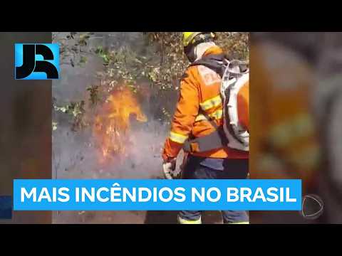 GO: incêndio atinge mais de 10 mil hectares no Parque Estadual de Terra Ronca