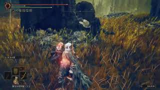エルデンリングDLCを全力で楽しむ Part4