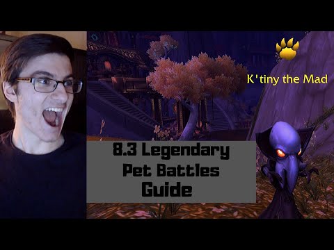 How to Beat ALL Legendary Pet Battles in 8.3