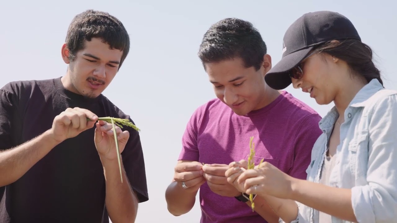 STEM Connections Program