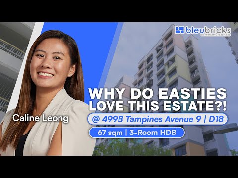 Singapore HDB | 499B Tampines Avenue 9 | 3-Room HDB | SOLD by bleubricks | Caline Leong