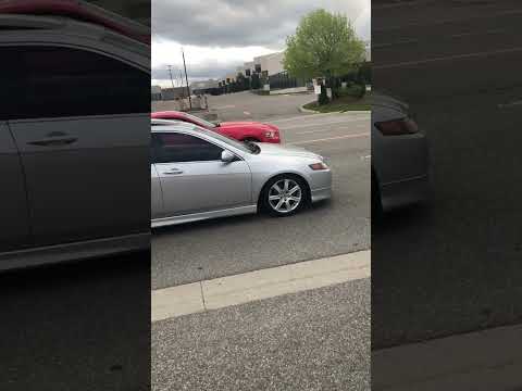 Acura TSX vs Mustang 5.0 ( Almost crashed ) #mustangs #car #viral #shortvideo #shorts #honda