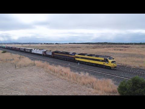 9793 SSR Grain Train With Diesel Locomotives CLF1 C501 852 CLP12 (6/2/2023) - PoathTV Railways