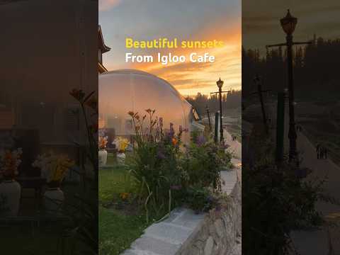 Gulmarg Igloo Cafe video thumbnail