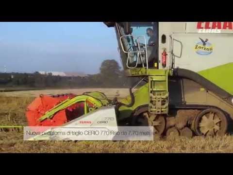CLAAS In Campo 2015 - Zorzoli
