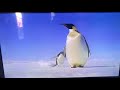 Animal Holiday Jingle Bells