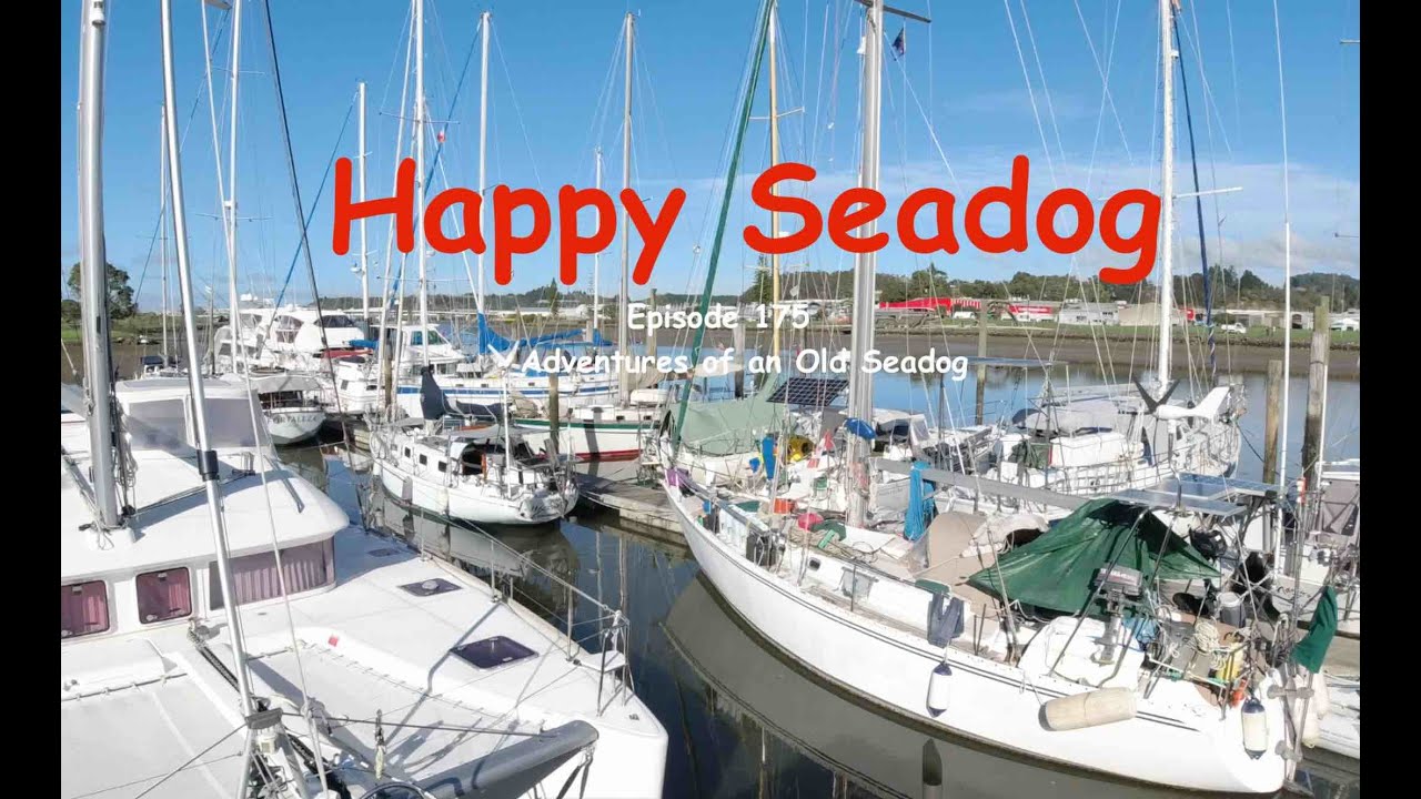 Happy Seadog!