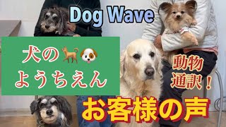 【犬の気持ち】動物通訳で聞いてみたら(No.554)