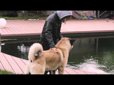 edition a - Ich bin jetzt zehn (Buchtrailer)