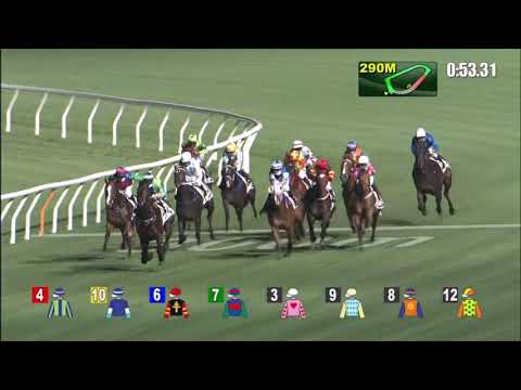 17/3/2021 (511) Spontaneous - Z Purton