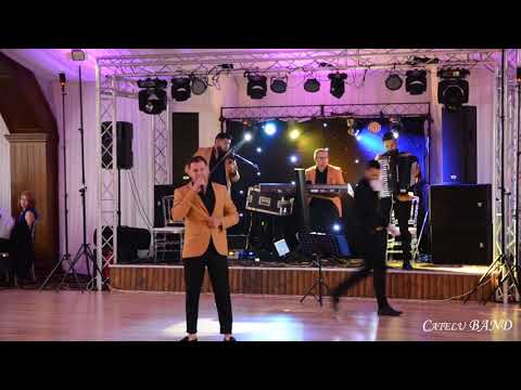 Am doi pui  de randunica colaj Catelu BAND.