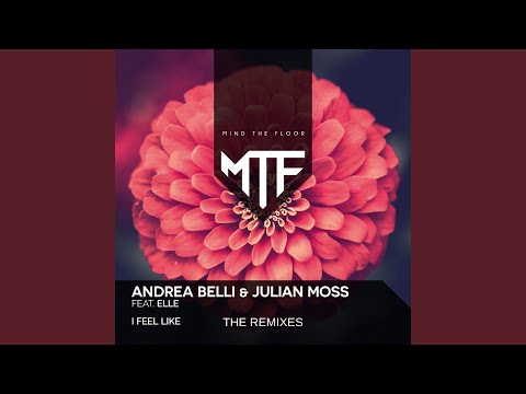 Feel Like You (feat. Elle) (Victor DJ Remix)