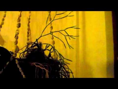 Oikein leposaa viikonloppua kaikille