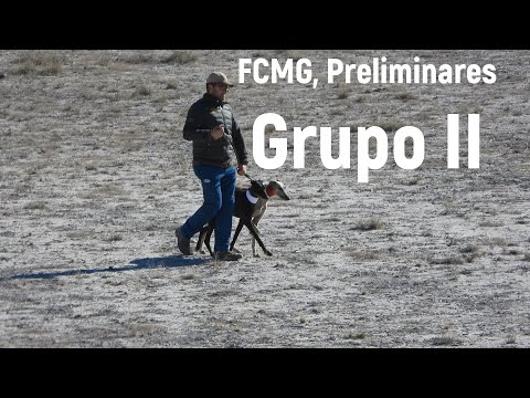 Round of 32, Group II, November 21 and 22, 2025, in Albacete