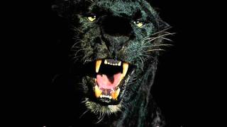 Los Gatos Buenos - Chiquilla Bonita