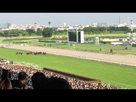 2016年 オークス