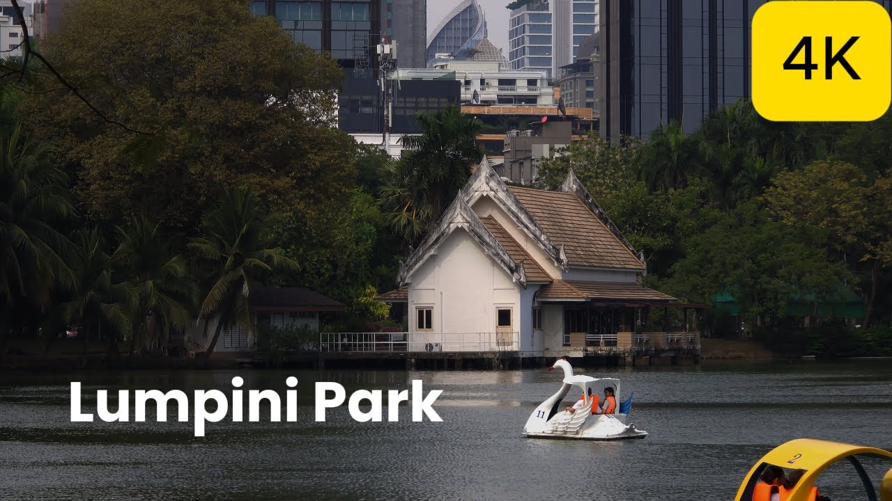 Explore the magic of Lumphini Park through an enchanting video.