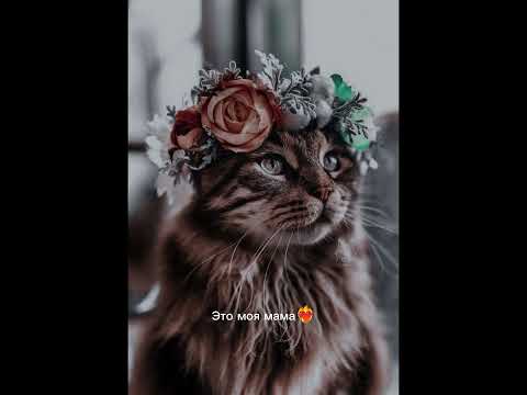 вот такие дела 🤗